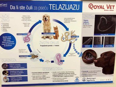 Krstić veterinarska ambulanta