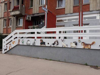Krstić veterinarska ambulanta