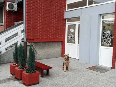 Krstić veterinarska ambulanta