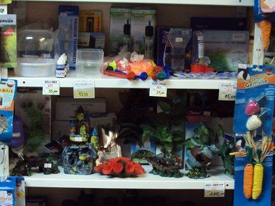 Pet shop Simba