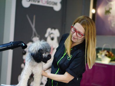 ShowGroom salon za kućne ljubimce