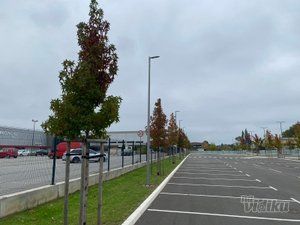 Cvetnik - uredjenje zelenih površina