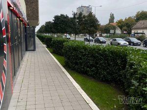 Cvetnik - uredjenje zelenih površina