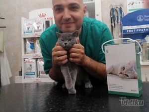 Beli Očnjak Vet veterinar