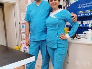 Beli Očnjak Vet veterinar