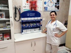 Beli Očnjak Vet veterinar