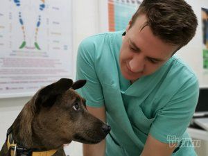 Veterinarius veterinarska ambulanta