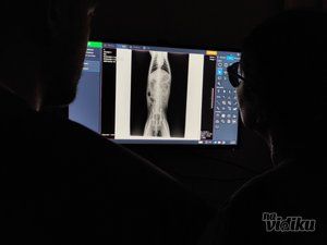 Veterinarska ambulanta Pas, mačka i ...