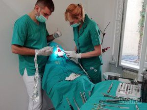 Zubari Zemun Zem Dent stomatološka ordinacija