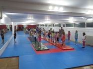 gimnasticki-klub-pobednik-novi-beograd-c7f818-1.jpg