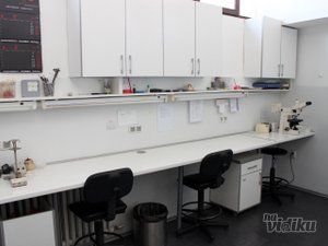 mikrobioloske-laboratorije-beograd-931ec5-2.jpg