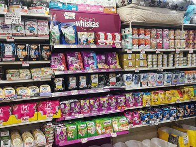 Pet shop Zoo Lane