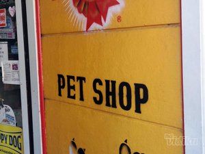 pet-shop-zoo-lane-ac37a8.jpg
