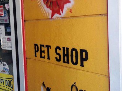 Pet shop Zoo Lane