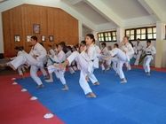 sportski-karate-90e145-1.jpg