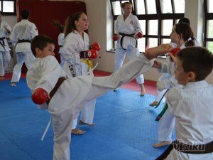 sportski-karate-90e145-3.jpg