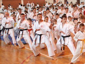 sportski-karate-90e145-6.jpg