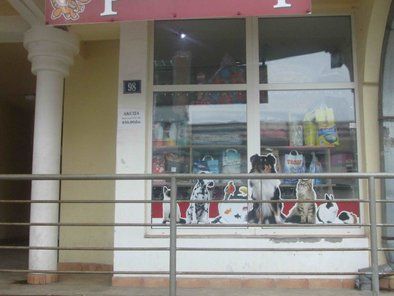 Pet shop Maxvit preparati za akvaristiku, hrana i oprema za kućne ljubimce Novi Sad
