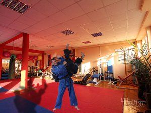 panter-klub-za-treniranje-judoa-9192de-5.jpg