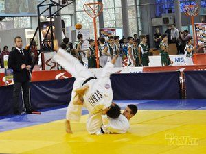 panter-klub-za-treniranje-judoa-9192de-8.jpg