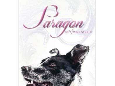 Paragon grooming studio