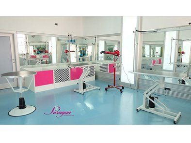 Paragon grooming studio
