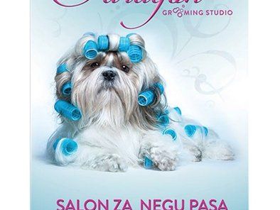 Paragon grooming studio