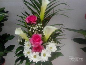 cvecara-flower-party-a89f71-10.jpg