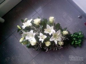 cvecara-flower-party-a89f71-4.jpg