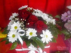 cvecara-flower-party-a89f71-8.jpg