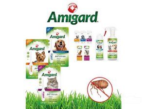 Veterinarska apoteka i Pet shop Buvara