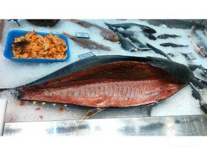 ribarnica-bio-fish-aa139c-5.jpg