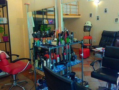 Frizersko-kozmetički salon Frik 1