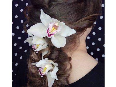 Beauty studio Priča Pariza
