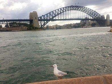 Viza za Australiju WORLD VISA