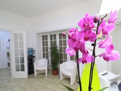 Dina Centar za estetiku i oftalmologiju
