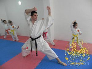karate-skola-sumadija-karate-dojo-70f336-10.jpg