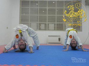 karate-skola-sumadija-karate-dojo-70f336-7.jpg