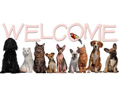 Golden Pets hotel za pse