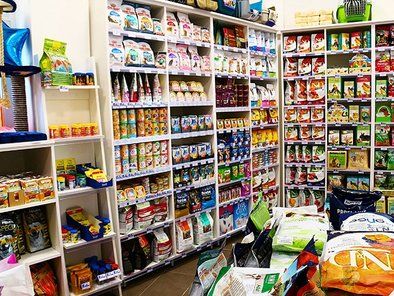 Pet Corner 021