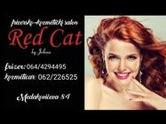frizersko-kozmeticki-salon-red-cat-by-jelena-e0cb14.jpg