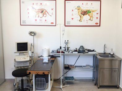Veterinarska ambulanta Tomić