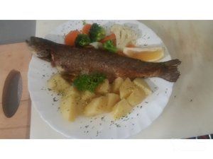 fish-bar-gogi-dostava-pecene-ribe-806fc5-7.jpg