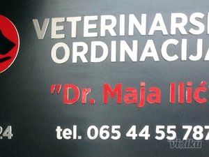 dr-maja-ilic-veterinarska-ambulanta-54da00-4.jpg