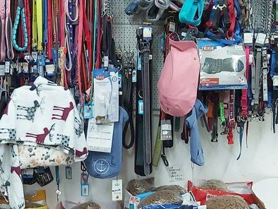 Veterinar Tim pet shop