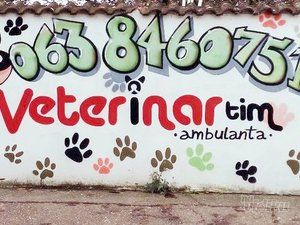 veterinar-tim-pet-shop-2997eb.jpg