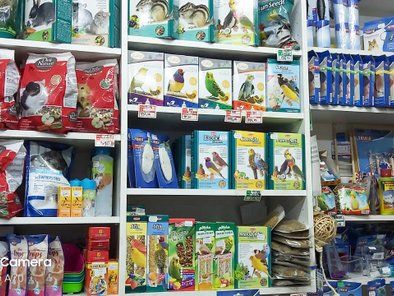 Veterinar Tim pet shop