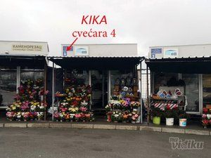 kika-cvecara-254171.jpg