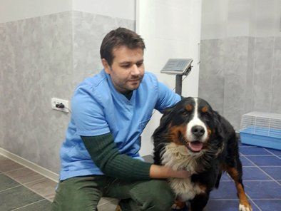 Ordinacija za kućne ljubimce