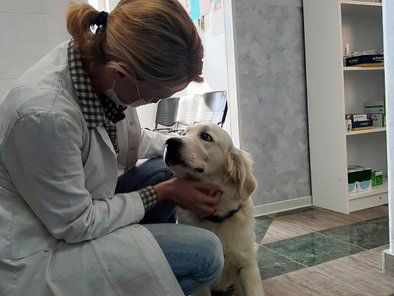 Ordinacija za kućne ljubimce